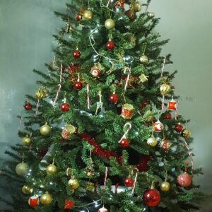 Christmas at Number 61